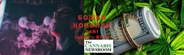 индика Снежинск