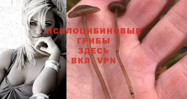 шишки Нязепетровск