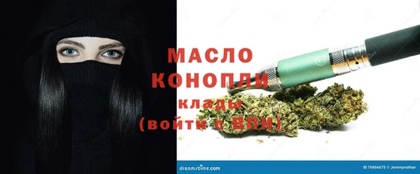 индика Снежинск