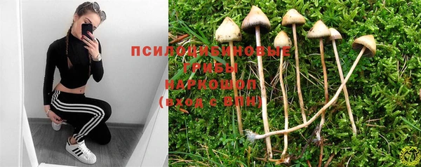 МДПВ Кулебаки