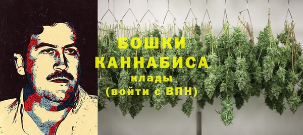 PSILOCYBIN Лабытнанги