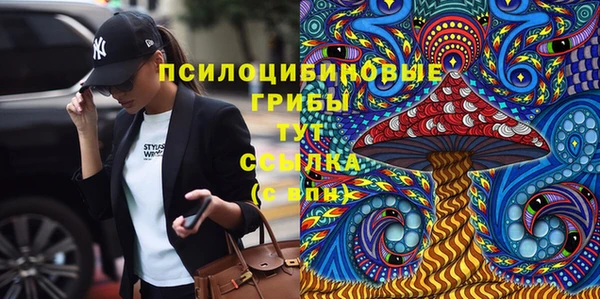 гидропоника Лагань
