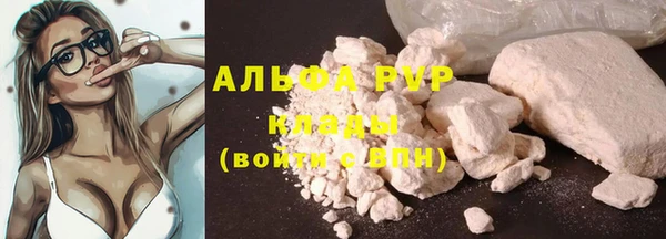 PSILOCYBIN Лабытнанги