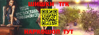 индика Гусев