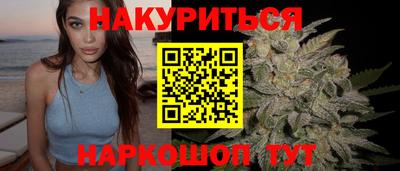 индика Гусев