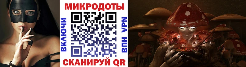 Псилоцибиновые грибы Psilocybe  Моздок 