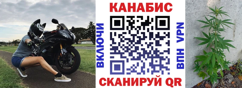 Конопля индика  что такое   Моздок 
